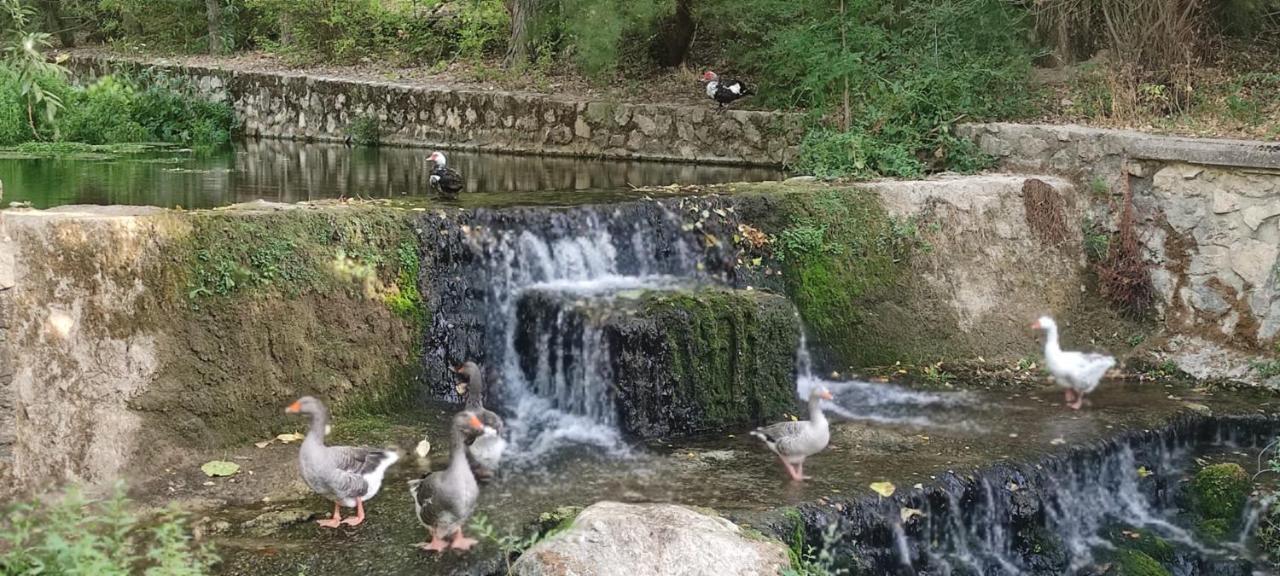 Alojamientos Puerta Del Parque Cazorla Dış mekan fotoğraf