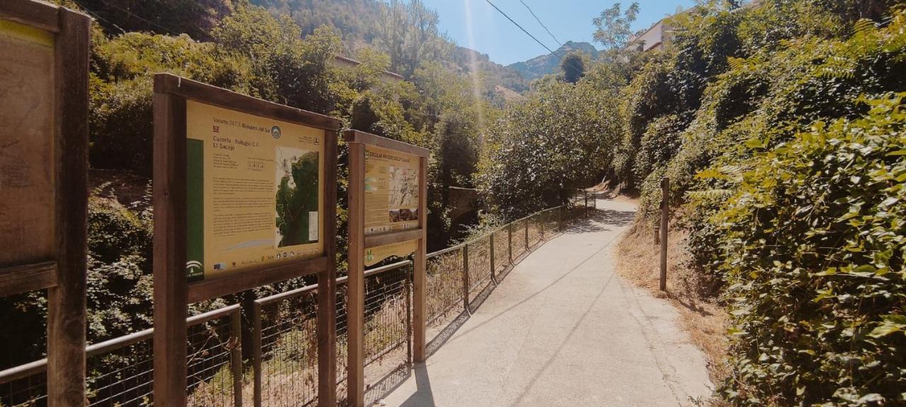 Alojamientos Puerta Del Parque Cazorla Dış mekan fotoğraf